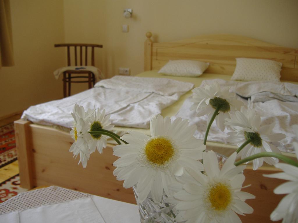 Örömvölgy Vendégház Bozsva Chambre photo