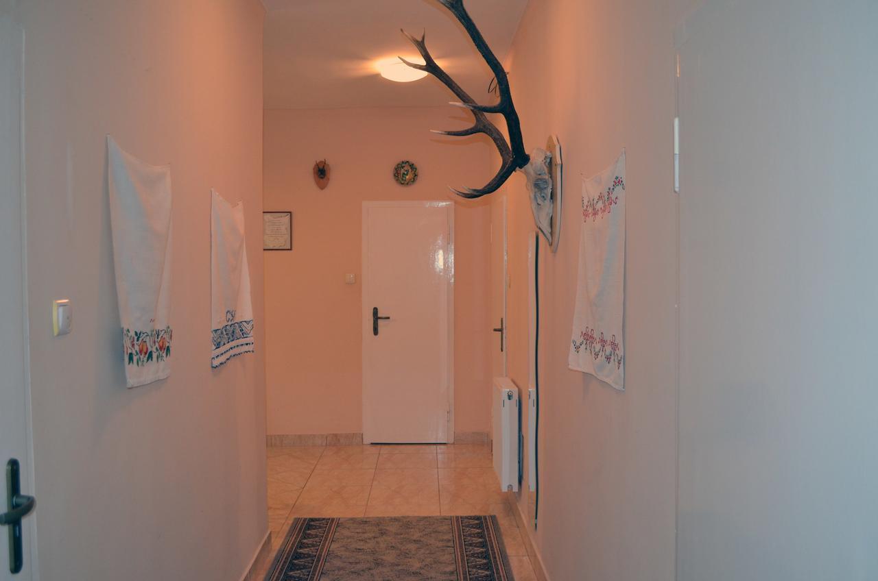 Örömvölgy Vendégház Bozsva Extérieur photo